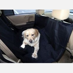 Hundeplaid i luksusudfrelse til bagsde