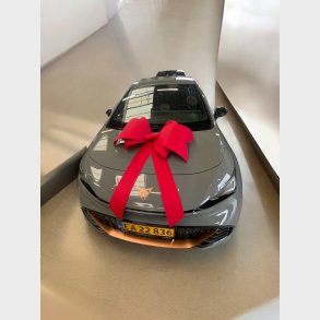 Stor rd sljfe til bils forskrm